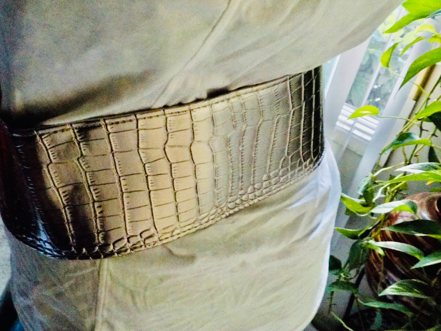 Shiny Belt