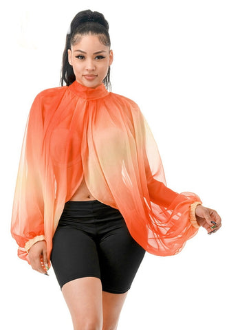 Ombré Sheer Blouse