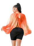 Ombré Sheer Blouse